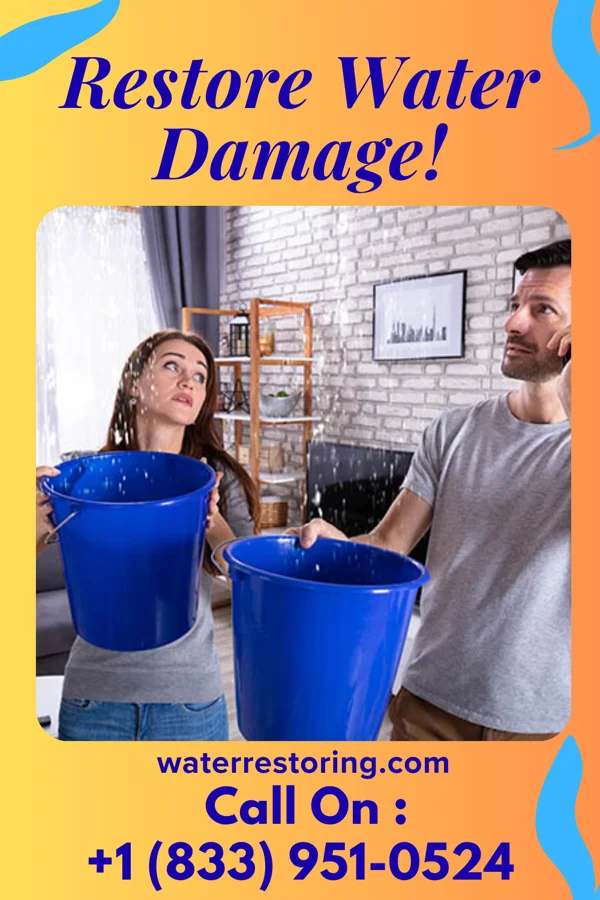 water restoration Zenith Water Repair Deer Lake