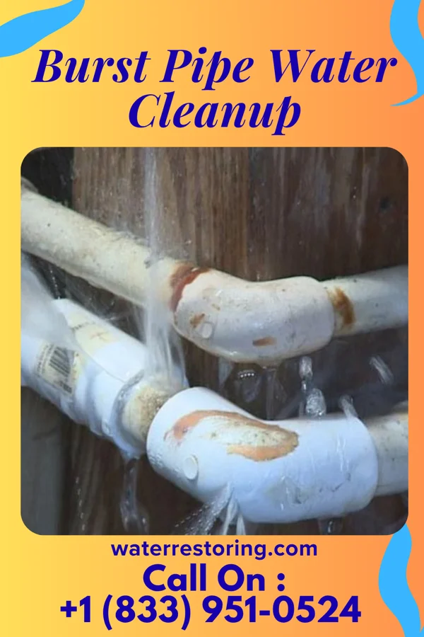 Burst Pipe Water Cleanup in Deer Lake, PA