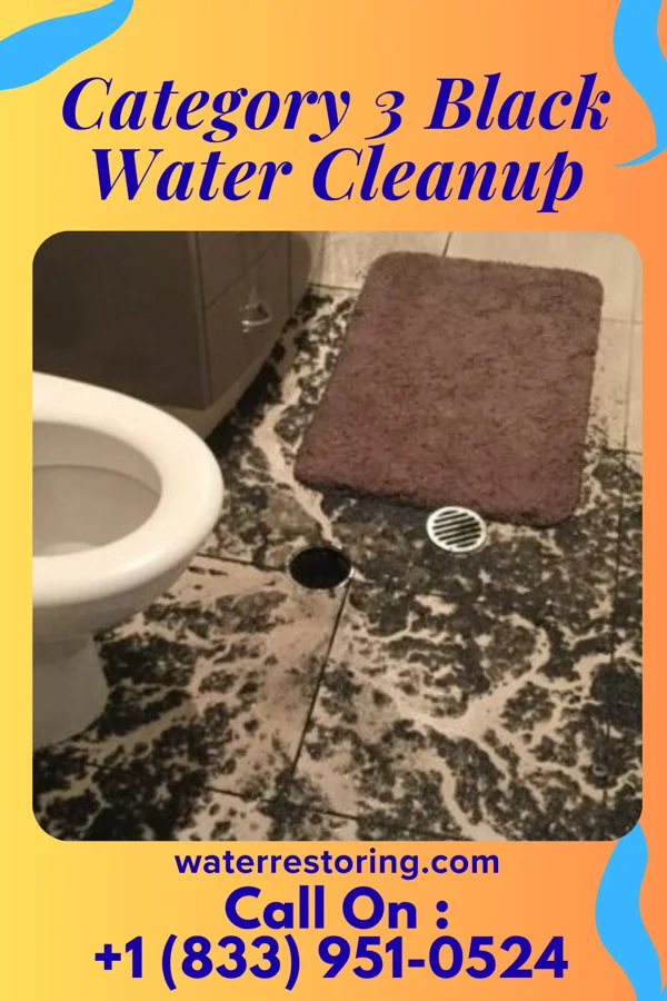 Category 3 Black Water Cleanup in Deer Lake, PA