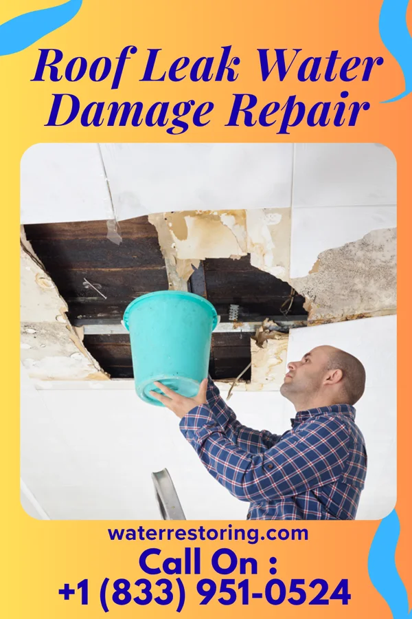 Roof Leak Water Damage Repair in Deer Lake, PA