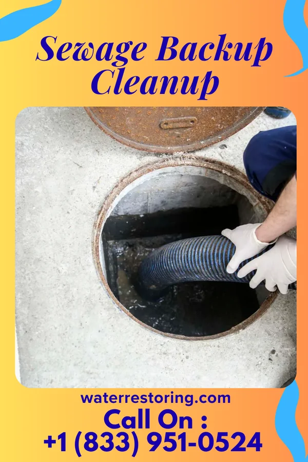 Sewage Backup Cleanup in Deer Lake, PA