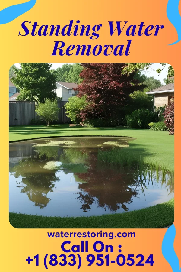 Standing Water Removal in Deer Lake, PA